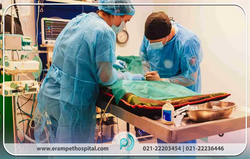 تجهیزات پیشرفته دامپزشکی برای جراحی