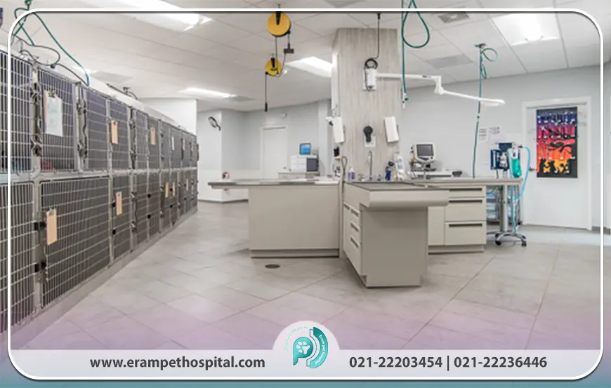 هزینه‌ها و تعرفه خدمات دامپزشکی