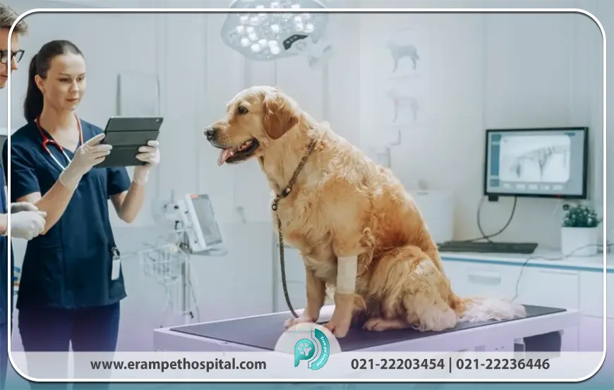 شرایط و معیارهای بستری حیوانات