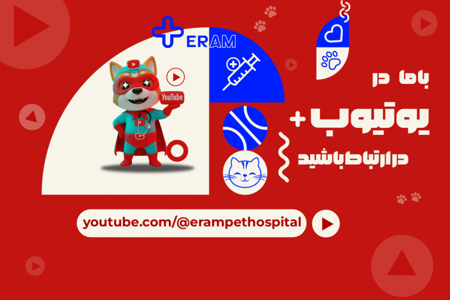 youtube-min-900x600