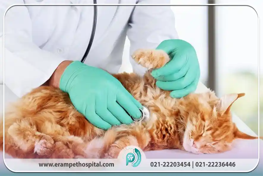 بیماری‌های گوارشی و انگل‌های داخلی