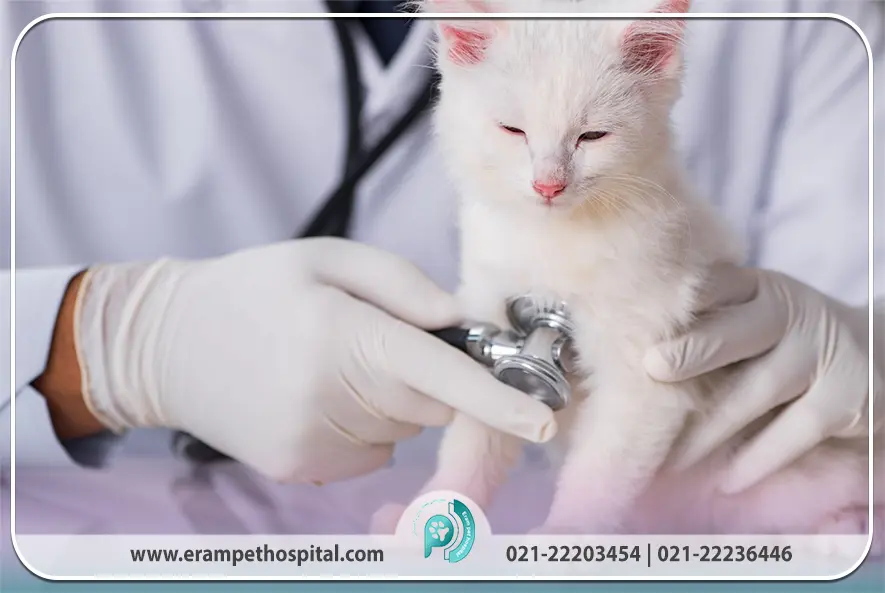 پیشگیری از بیماری‌های خاموش، چرا نباید منتظر علائم بمانیم؟